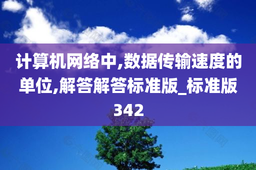 计算机网络中,数据传输速度的单位,解答解答标准版_标准版342