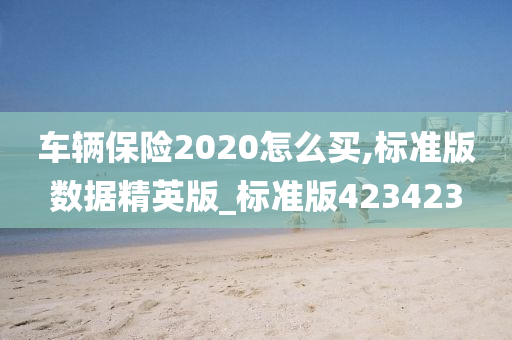 车辆保险2020怎么买,标准版数据精英版_标准版423423