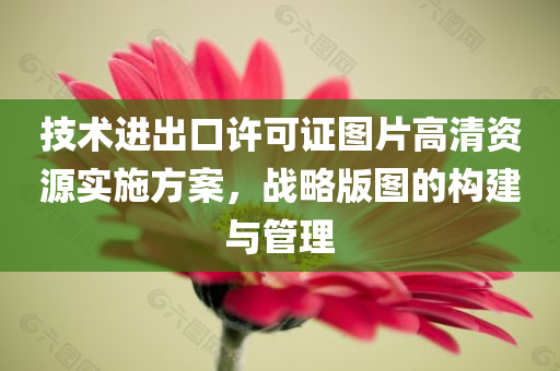 技术进出口许可证图片高清资源实施方案，战略版图的构建与管理