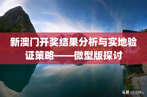 新澳门开奖结果分析与实地验证策略——微型版探讨