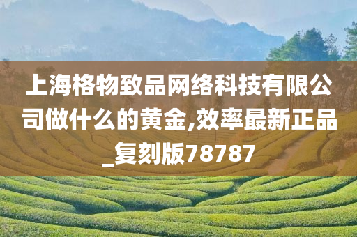 上海格物致品网络科技有限公司做什么的黄金,效率最新正品_复刻版78787