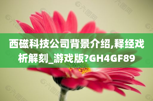 西磁科技公司背景介绍,释经戏析解刻_游戏版?GH4GF89