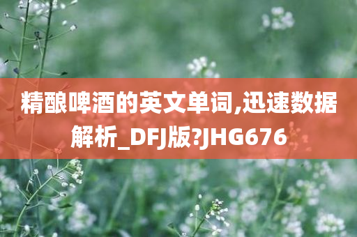 精酿啤酒的英文单词,迅速数据解析_DFJ版?JHG676