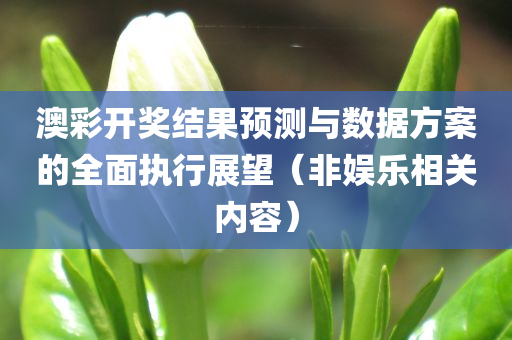 澳彩开奖结果预测与数据方案的全面执行展望（非娱乐相关内容）