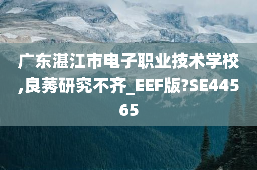 广东湛江市电子职业技术学校,良莠研究不齐_EEF版?SE44565