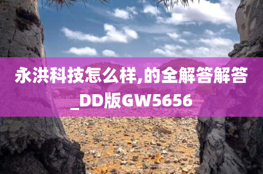 永洪科技怎么样,的全解答解答_DD版GW5656