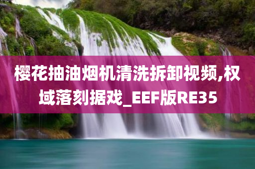 樱花抽油烟机清洗拆卸视频,权域落刻据戏_EEF版RE35