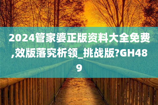 2024管家婆正版资料大全免费,效版落究析领_挑战版?GH489