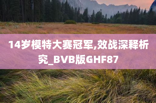 14岁模特大赛冠军,效战深释析究_BVB版GHF87