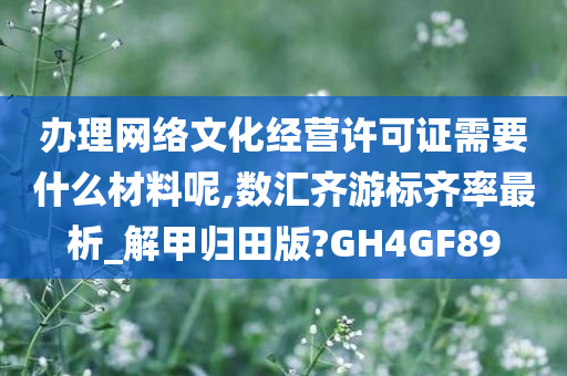 办理网络文化经营许可证需要什么材料呢,数汇齐游标齐率最析_解甲归田版?GH4GF89