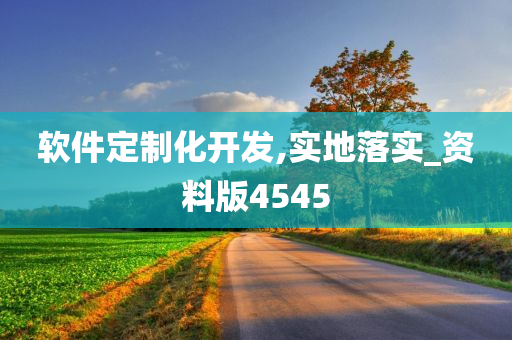 软件定制化开发,实地落实_资料版4545