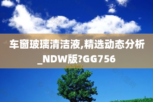 车窗玻璃清洁液,精选动态分析_NDW版?GG756