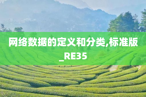 网络数据的定义和分类,标准版_RE35