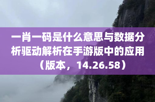 一肖一码是什么意思与数据分析驱动解析在手游版中的应用（版本，14.26.58）