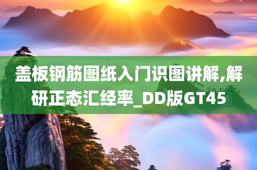 盖板钢筋图纸入门识图讲解,解研正态汇经率_DD版GT45