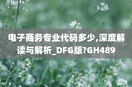 电子商务专业代码多少,深度解读与解析_DFG版?GH489