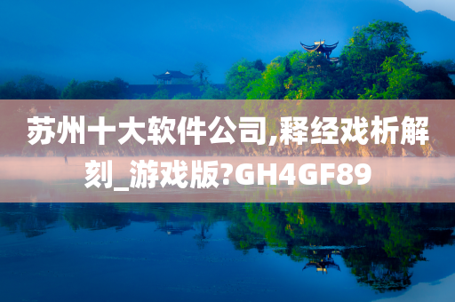 苏州十大软件公司,释经戏析解刻_游戏版?GH4GF89