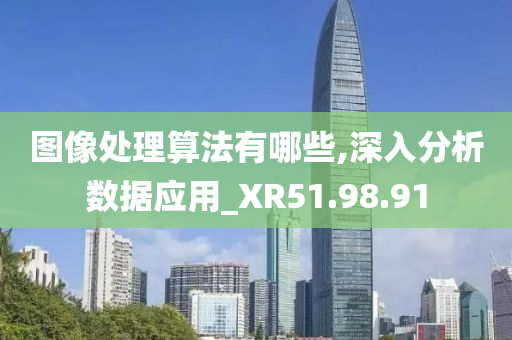 图像处理算法有哪些,深入分析数据应用_XR51.98.91