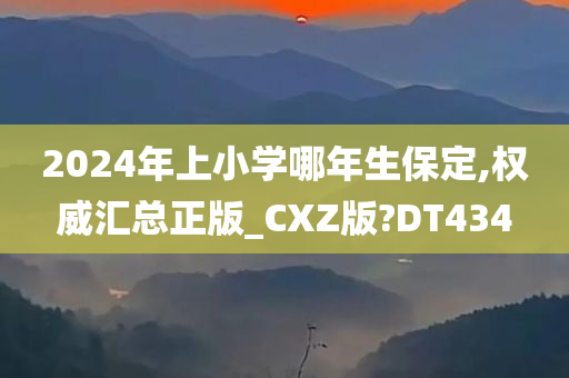 2024年上小学哪年生保定,权威汇总正版_CXZ版?DT434