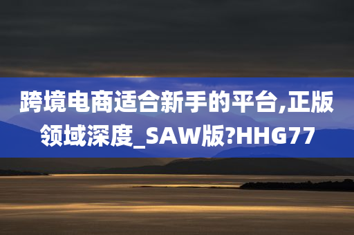 跨境电商适合新手的平台,正版领域深度_SAW版?HHG77