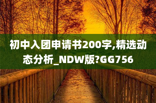 初中入团申请书200字,精选动态分析_NDW版?GG756