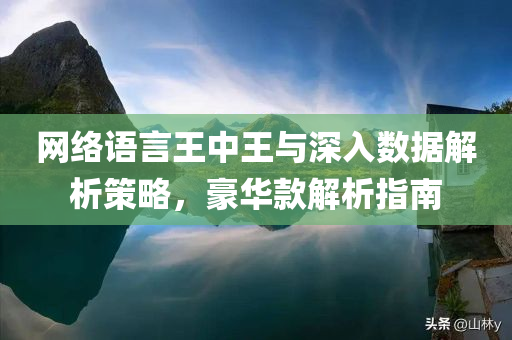 网络语言王中王与深入数据解析策略，豪华款解析指南