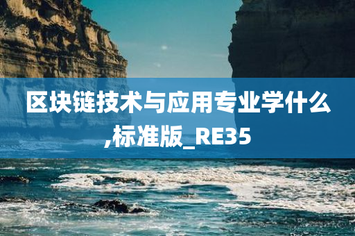 区块链技术与应用专业学什么,标准版_RE35