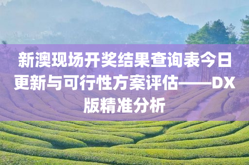 新澳现场开奖结果查询表今日更新与可行性方案评估——DX版精准分析