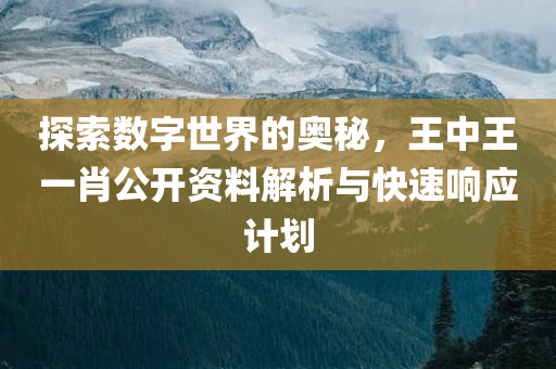 探索数字世界的奥秘，王中王一肖公开资料解析与快速响应计划