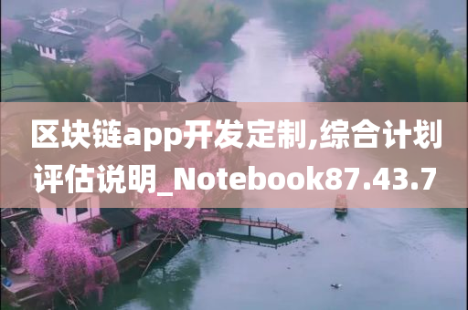 区块链app开发定制,综合计划评估说明_Notebook87.43.70