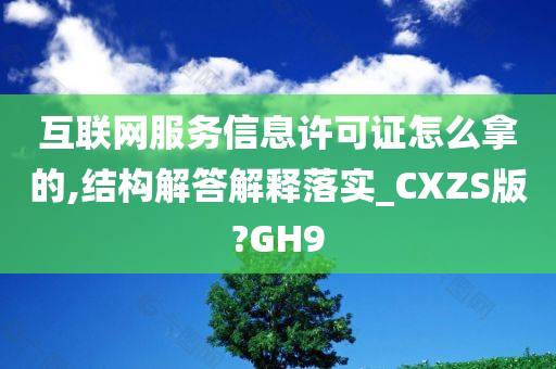 互联网服务信息许可证怎么拿的,结构解答解释落实_CXZS版?GH9