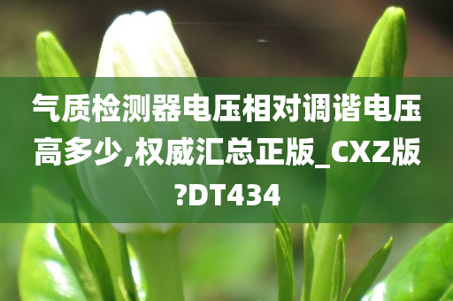 气质检测器电压相对调谐电压高多少,权威汇总正版_CXZ版?DT434