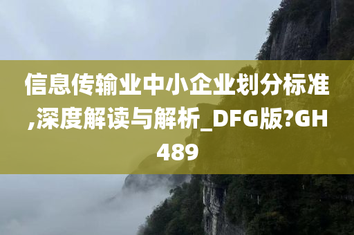 信息传输业中小企业划分标准,深度解读与解析_DFG版?GH489