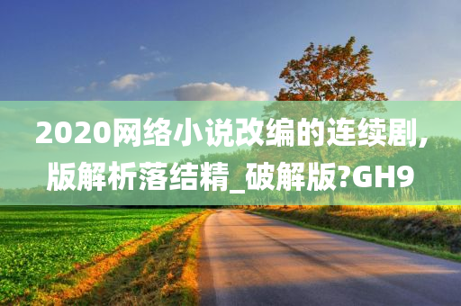 2020网络小说改编的连续剧,版解析落结精_破解版?GH9