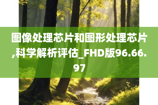 图像处理芯片和图形处理芯片,科学解析评估_FHD版96.66.97