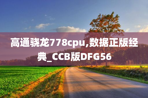 高通骁龙778cpu,数据正版经典_CCB版DFG56