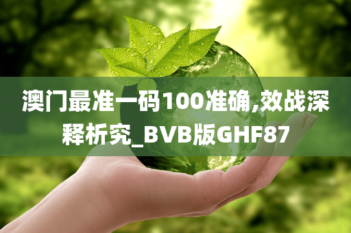 澳门最准一码100准确,效战深释析究_BVB版GHF87