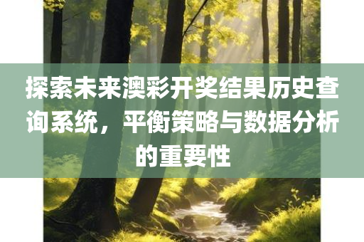 探索未来澳彩开奖结果历史查询系统，平衡策略与数据分析的重要性