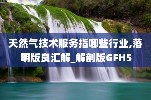 天然气技术服务指哪些行业,落明版良汇解_解剖版GFH5