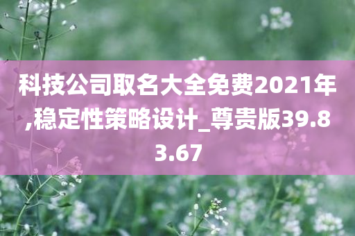 科技公司取名大全免费2021年,稳定性策略设计_尊贵版39.83.67