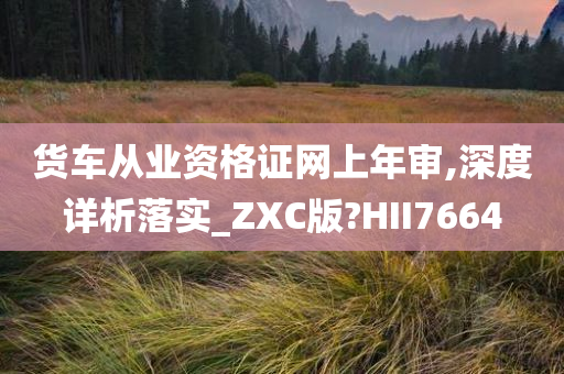 货车从业资格证网上年审,深度详析落实_ZXC版?HII7664