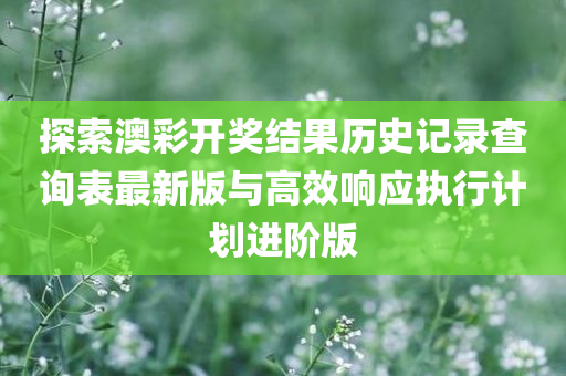 探索澳彩开奖结果历史记录查询表最新版与高效响应执行计划进阶版