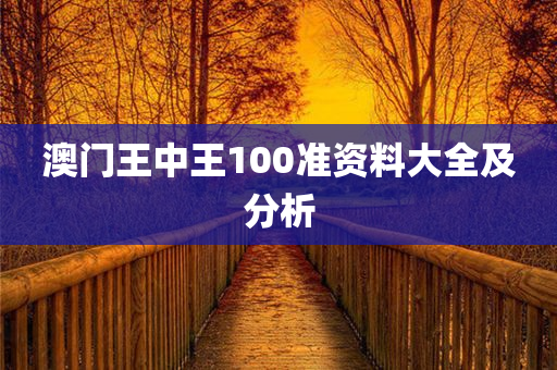 澳门王中王100准资料大全及分析