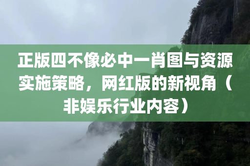 正版四不像必中一肖图与资源实施策略，网红版的新视角（非娱乐行业内容）