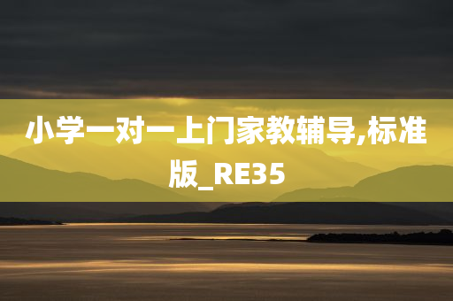 小学一对一上门家教辅导,标准版_RE35