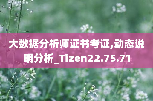 大数据分析师证书考证,动态说明分析_Tizen22.75.71