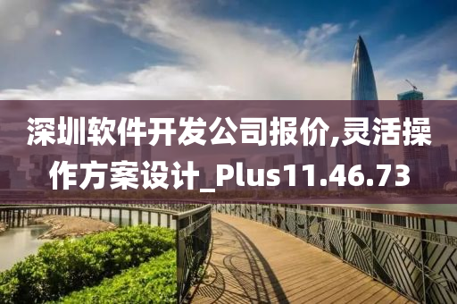 深圳软件开发公司报价,灵活操作方案设计_Plus11.46.73