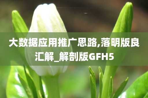 大数据应用推广思路,落明版良汇解_解剖版GFH5