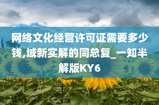 网络文化经营许可证需要多少钱,域新实解的同总复_一知半解版KY6