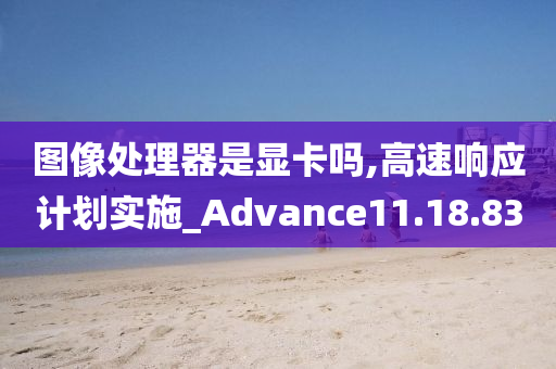 图像处理器是显卡吗,高速响应计划实施_Advance11.18.83